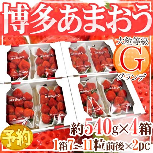 福岡産 博多 ”あまおういちご” 等級G（グランデ） 4箱 8パック入り（1パック約270g）【予約...