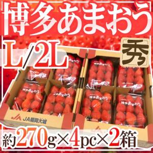 福岡産いちご ”博多あまおう” 秀品 L/2Lサイズ 約270g×4パック×《2箱》【予約 12月以降】 送料無料｜kurashi-kaientai