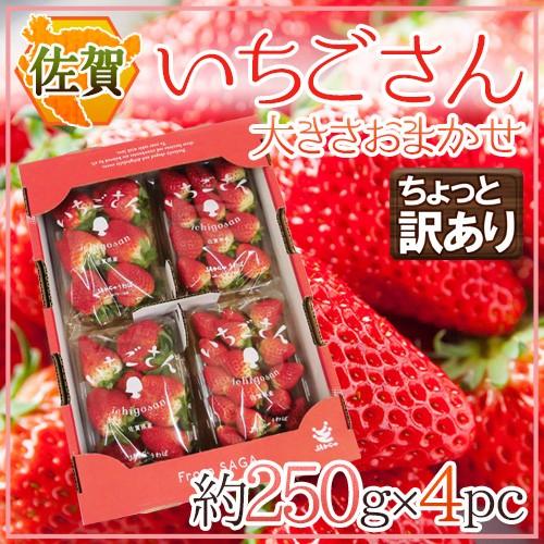 佐賀 ”いちごさん” ちょっと訳あり 約250g×4パック 大きさおまかせ【予約 12月以降】 送料...