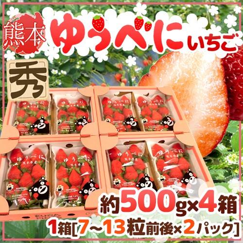 熊本県 ”ゆうべにいちご（熊紅いちご）” 秀品 2パック入り（1パック 7〜13粒 約250g）×《...