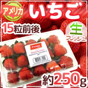 アメリカ産 ”いちご” 15粒前後 約250g【予約 6月下旬以降】