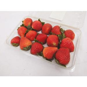 アメリカ産 ”いちご” 15粒前後 約250g...の詳細画像2