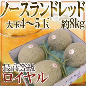 メロン 静岡産 ”クラウンメロン” 大玉 5玉 約9kg 等級 白 産地箱 送料