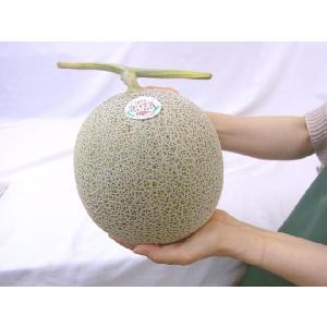 メロン 赤肉メロン ”北海道 らいでんレッドメ...の詳細画像1