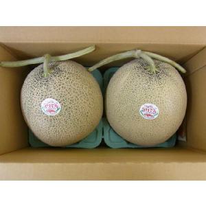 メロン 北海道 赤肉メロン ”らいでんレッドメ...の詳細画像1