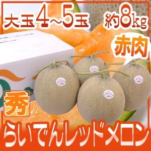 メロン 北海道 赤肉メロン ”らいでんレッドメロン” 4〜5玉 約8kg 産地箱【予約 7月中下旬以降】