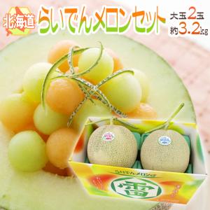 千葉県産 JAちばみどり飯岡メロン部会 タカミレッド （赤肉）秀品 5L