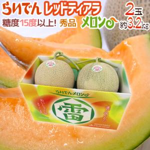 メロン 北海道 赤肉メロン ”らいでんレッドメロン” 4〜5玉 約8kg 産地