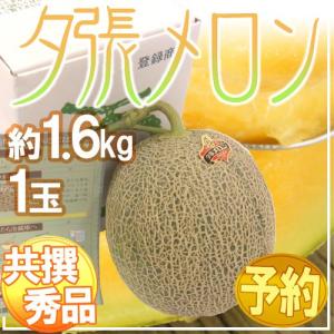 メロン 北海道 ”夕張メロン” 共撰・秀品 1玉 約1.6kg【予約 7月中下旬以降】 送料無料