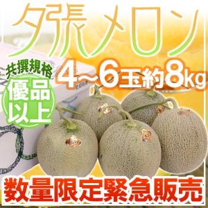 【緊急スポット】北海道 ”夕張メロン”共撰・優品 4〜6玉 約8kg【2週間以内の発送】