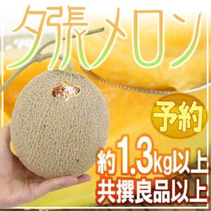 メロン 北海道 ”夕張メロン” 共撰・良品 約1.3kg以上《6玉購入で送料無料》【予約 7月中下旬以降】