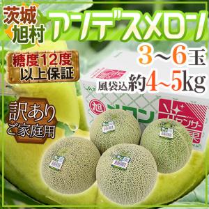 メロン JA茨城旭村 ”アンデスメロン” 訳あり 3〜6玉 風袋込約4〜5kg【予約 5月末以降】 送料無料