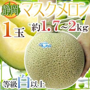 静岡県産 クラウンメロン1玉 約1.5kg以上 白等級 : ふるふぁみストア