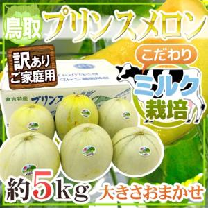 メロン 鳥取県 倉吉産 ”ミルク栽培 プリンスメロン” 訳あり 約5kg 大きさおまかせ【予約 5月下旬以降】 送料無料