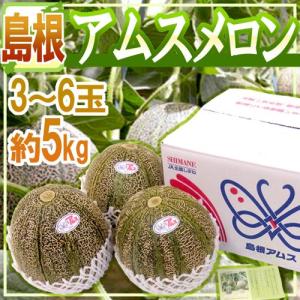 メロン 島根産 ”アムスメロン” 秀品 大玉 3〜6玉 約5kg【予約 6月以降】 送料無料