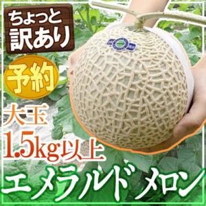 メロン 高知県夜須産 ”エメラルドメロン” ちょっと訳あり 大玉 約1.5kg以上【予約 3月中旬以降】 送料無料