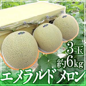 メロン 高知県夜須産 ”エメラルドメロン” 超大玉 3玉入り 約6kg【予約 入荷次第発送】 送料無料