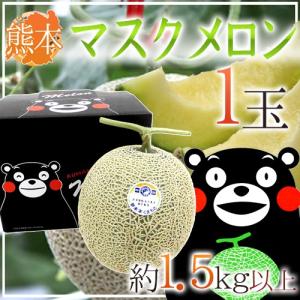 メロン 高知県夜須産 ”エメラルドメロン” ちょっと訳あり 大玉 5〜6玉