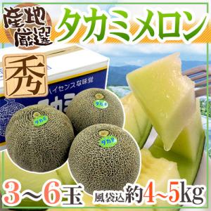 メロン 北海道 赤肉メロン ”らいでんレッドティアラメロン” 秀品 4〜5
