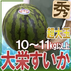 鳥取県 ”ジャンボ大栄すいか” 秀品 特大5Lサイズ 約10〜11kg 大栄西瓜【予約 6月以降】 送料無料｜kurashi-kaientai