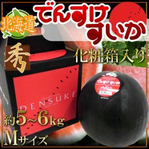 北海道当麻町 ”でんすけスイカ” 秀品 Mサイズ 約5〜6kg 化粧箱【予約 7月中旬以降】 送料無料