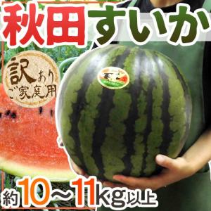 【送料無料】秋田県 ”秋田すいか” 訳あり 約10〜11kg...