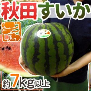 ”秋田県 秋田すいか” 秀品 約7kg以上【予約...の商品画像