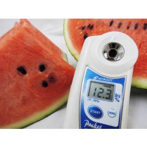 ”秋田県 秋田すいか” 秀品 約7kg以上【予...の詳細画像4