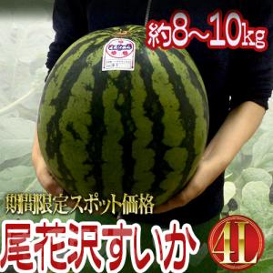 山形県産 ”尾花沢スイカ” 大玉 4Lサイズ 1玉 約8〜10kg