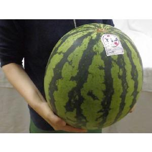 ”山形県産 尾花沢スイカ” 大玉 4Lサイズ ...の詳細画像2