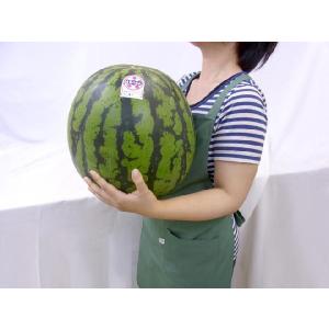 山形県産 ”尾花沢スイカ” S6L(7L級) ...の詳細画像2