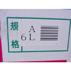 山形県産 ”尾花沢スイカ” 6Lサイズ 1玉約...の詳細画像1