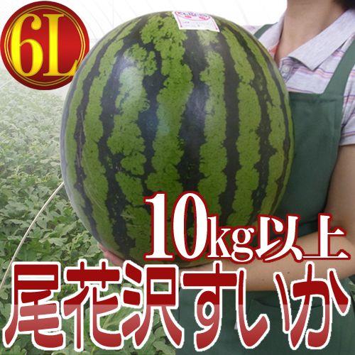 山形県産 ”尾花沢スイカ” 6Lサイズ 1玉約10kg以上 ちょっと訳あり【予約 7月下旬以降】 送...