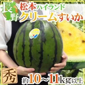 長野県 ”松本ハイランド クリームすいか” 秀品 約10〜11kg以上 黄肉スイカ【予約 7月下旬以降】 送料無料