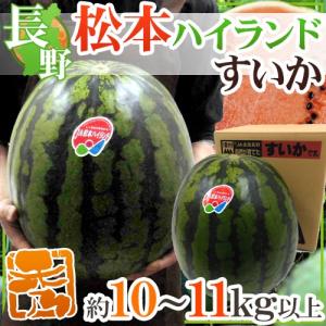 長野県 ”松本ハイランドすいか” 秀品 約10〜11kg以上【予約 7月下旬以降】 送料無料｜kurashi-kaientai