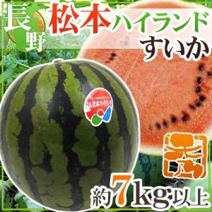 ”長野県 松本ハイランドすいか” 秀品 約7kg以上【予約 7月下旬以降】 送料無料