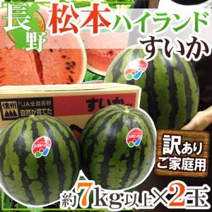 長野県 ”松本ハイランドすいか” 訳あり 約7kg以上×2玉【予約 7月下旬以降】 送料無料｜kurashi-kaientai