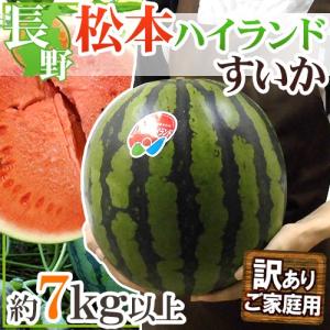 長野県 ”松本ハイランドすいか” 訳あり 約7kg以上【予約 7月下旬以降】 送料無料｜kurashi-kaientai