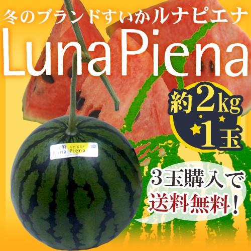 温室スイカ ”高知県夜須町 ルナピエナ” 1玉 約2kg《3玉購入で送料無料》【予約 10月中旬以降...