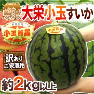 鳥取県 ”大栄小玉スイカ 姫甘泉” 訳あり 1玉 約2kg以上【予約 6月以降】｜kurashi-kaientai