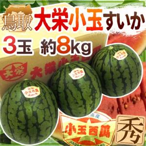 鳥取県 ”大栄小玉スイカ 姫甘泉” 3〜4玉 約8kg【予約 6月以降】 送料無料｜kurashi-kaientai