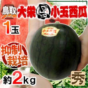 鳥取県 ”大栄黒小玉スイカ” 秀品 1玉 約2kg すいか