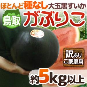 【送料無料】鳥取 黒皮 種なしスイカ ”がぶりこ” 訳あり ...