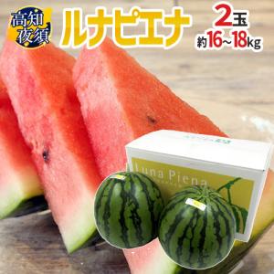 高知県夜須町 ”ルナピエナ” 1玉 約6〜7kg 金時、祭ばやしなど【予約 5