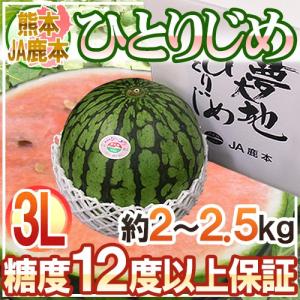 熊本県 JA鹿本 ”小玉すいか ひとりじめ” 秀・優 3L1玉 約2〜2.5kg 化粧箱【予約 4月以降】 送料無料｜くらし快援隊