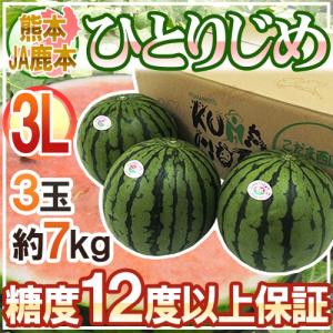 熊本県 JA鹿本 ”小玉すいか ひとりじめ” 秀・優 3L3玉 約7kg【予約 4月以降】 送料無料｜くらし快援隊