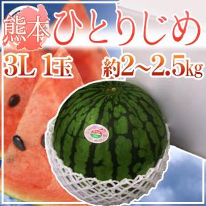 熊本産 ”小玉すいか ひとりじめ” 秀・優 3L1玉 約2〜2.5kg【予約 4月以降】