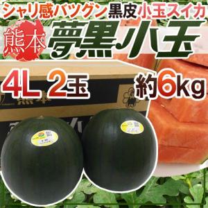 熊本県 黒皮すいか ”夢黒小玉” 秀・優品 4L 2玉 約6kg