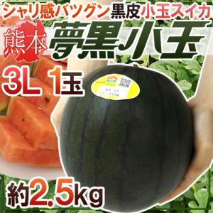 【送料無料】熊本県 黒皮すいか ”夢黒小玉” 3L 1玉 約...