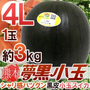 熊本県 黒皮すいか ”夢黒小玉” 秀・優品 4L 1玉 約3kg【予約 5月下旬以降】